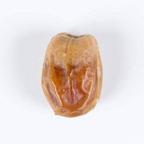 صقعي ملكي عضوي