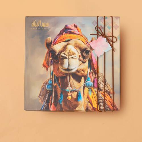 علبة رحلة  الصحراء 6