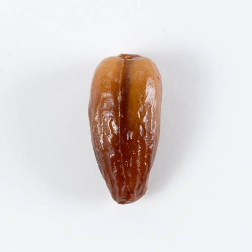 دجلة نور فله ممتاز منزوع نوي